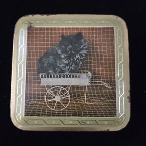 Vintage Cat Kitten Litho Tin Box Edwards & Sons